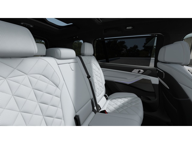 New 2027 Blue Ridge Mountain Metallic BMW  image 12