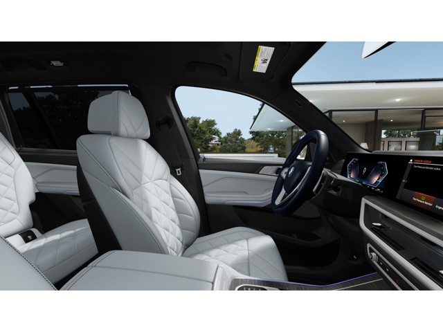 New 2027 Blue Ridge Mountain Metallic BMW  image 9