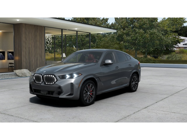 2025 BMW X6