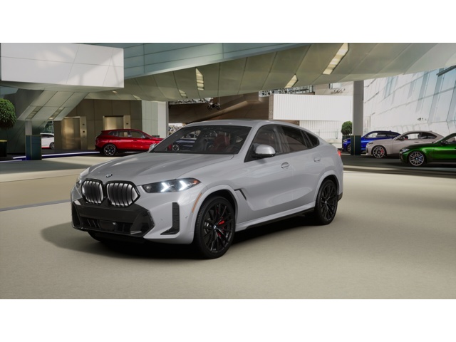 2026 BMW X6