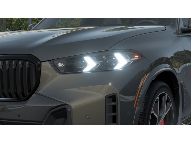 New 2026 Dravit Grey Metallic BMW  image 6