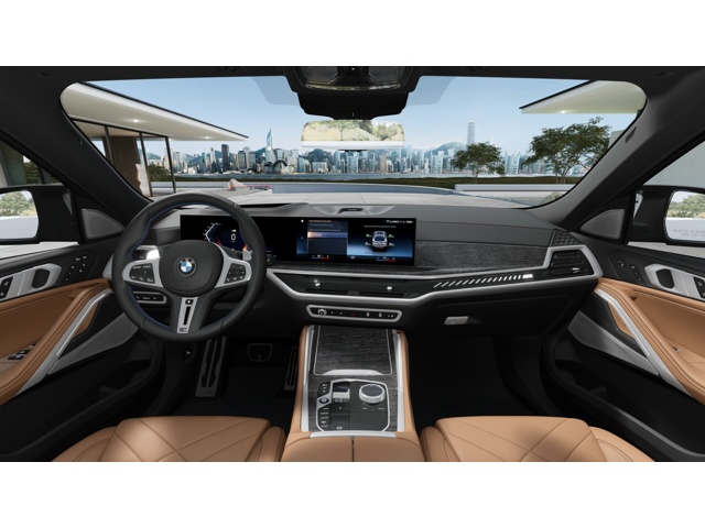 2026 Bmw X6 photo 9