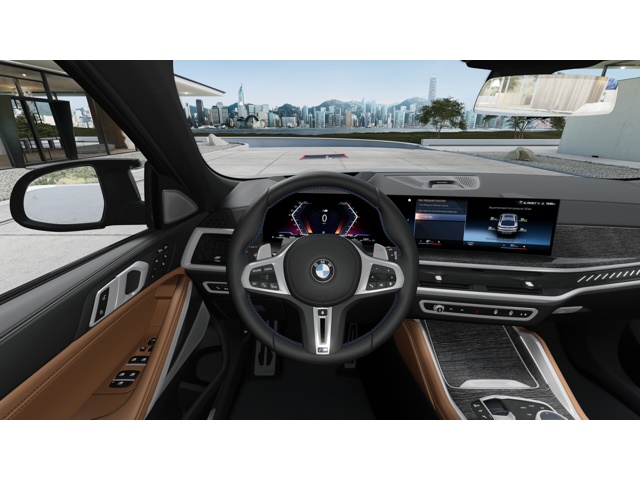 2026 Bmw X6 photo 10