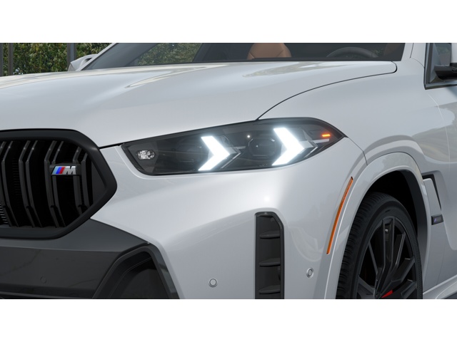 2026 Bmw X6 photo 5