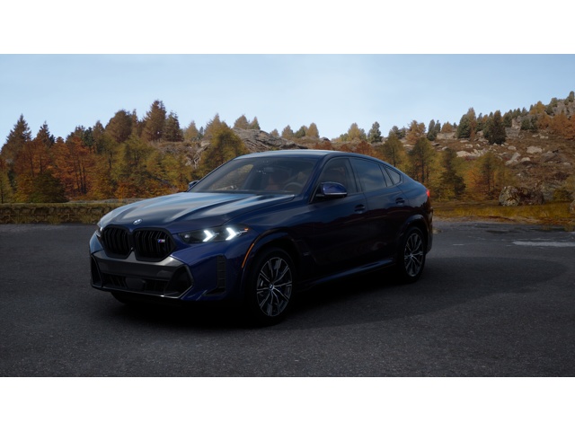 2026 BMW X6