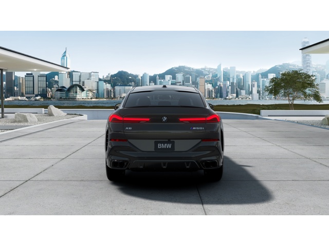2026 Bmw X6 photo 4