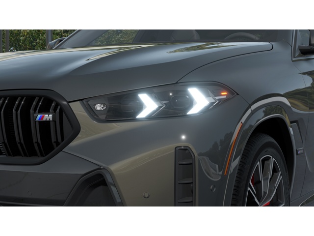 2026 Bmw X6 photo 5