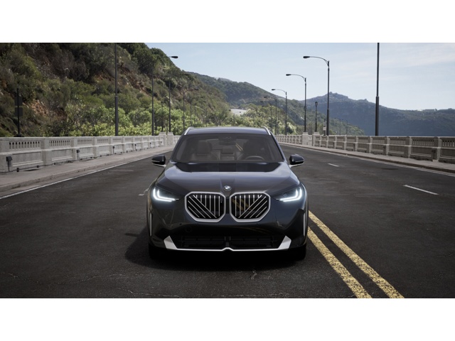 2025 Bmw X3 30x Drive photo 3