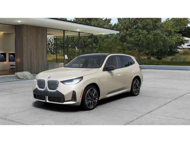 2026 BMW X3's photo