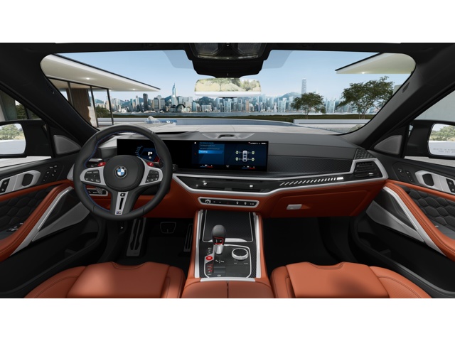2026 Bmw X6 photo 9