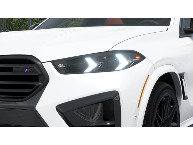 2026 Bmw X6 photo 5