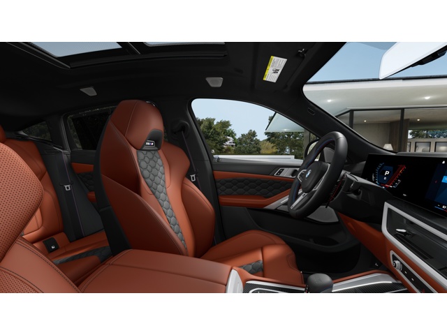2026 Bmw X6 photo 8