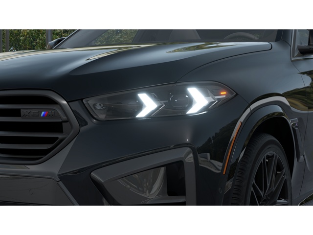 2026 Bmw X6 photo 6