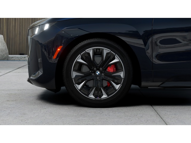 2026 Bmw iX photo 5