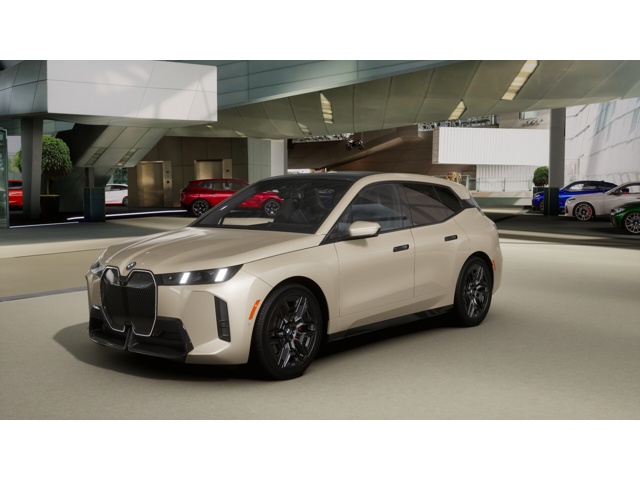 2026 BMW iX