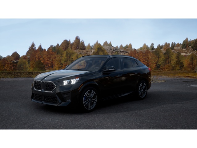 2026 BMW X2 xDrive28i's photo
