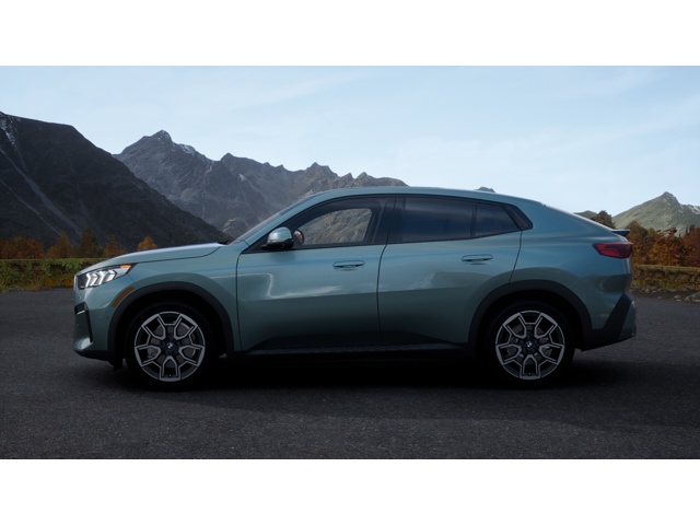2025 Bmw X2 xDrive28i photo 4